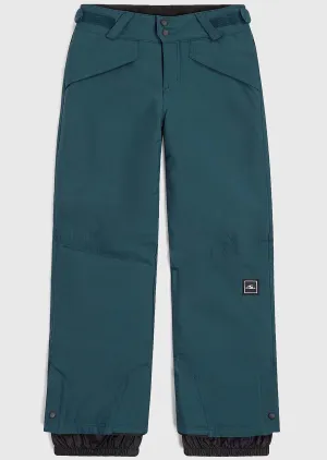 O'Neill Men's Hammer Insulated Snow Pants