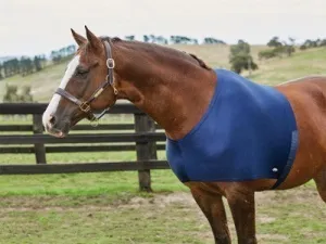 WeatherBeeta Stretch Shoulder Rug Navy Cob